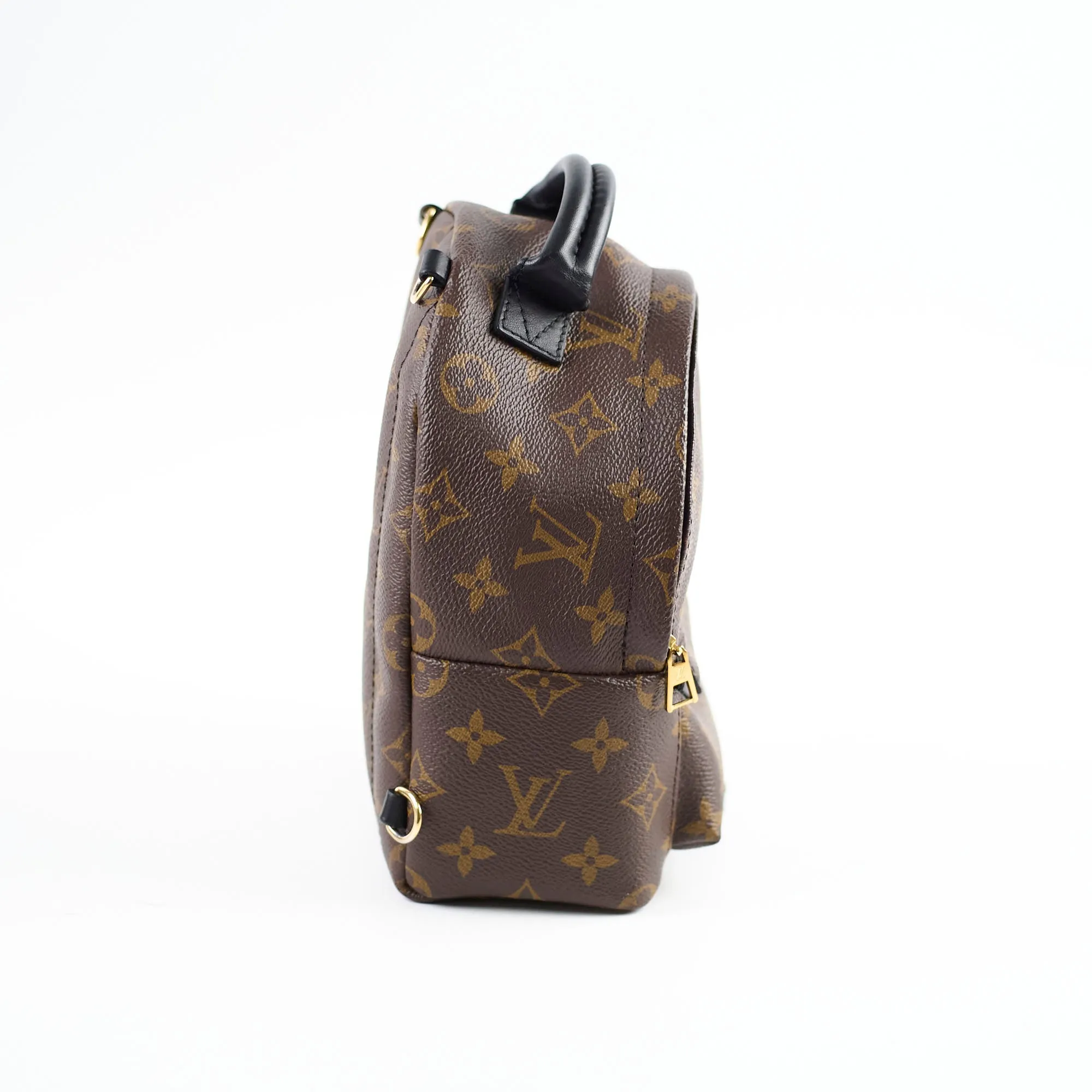 Louis Vuitton Mini Palm Spring Bag Monogram