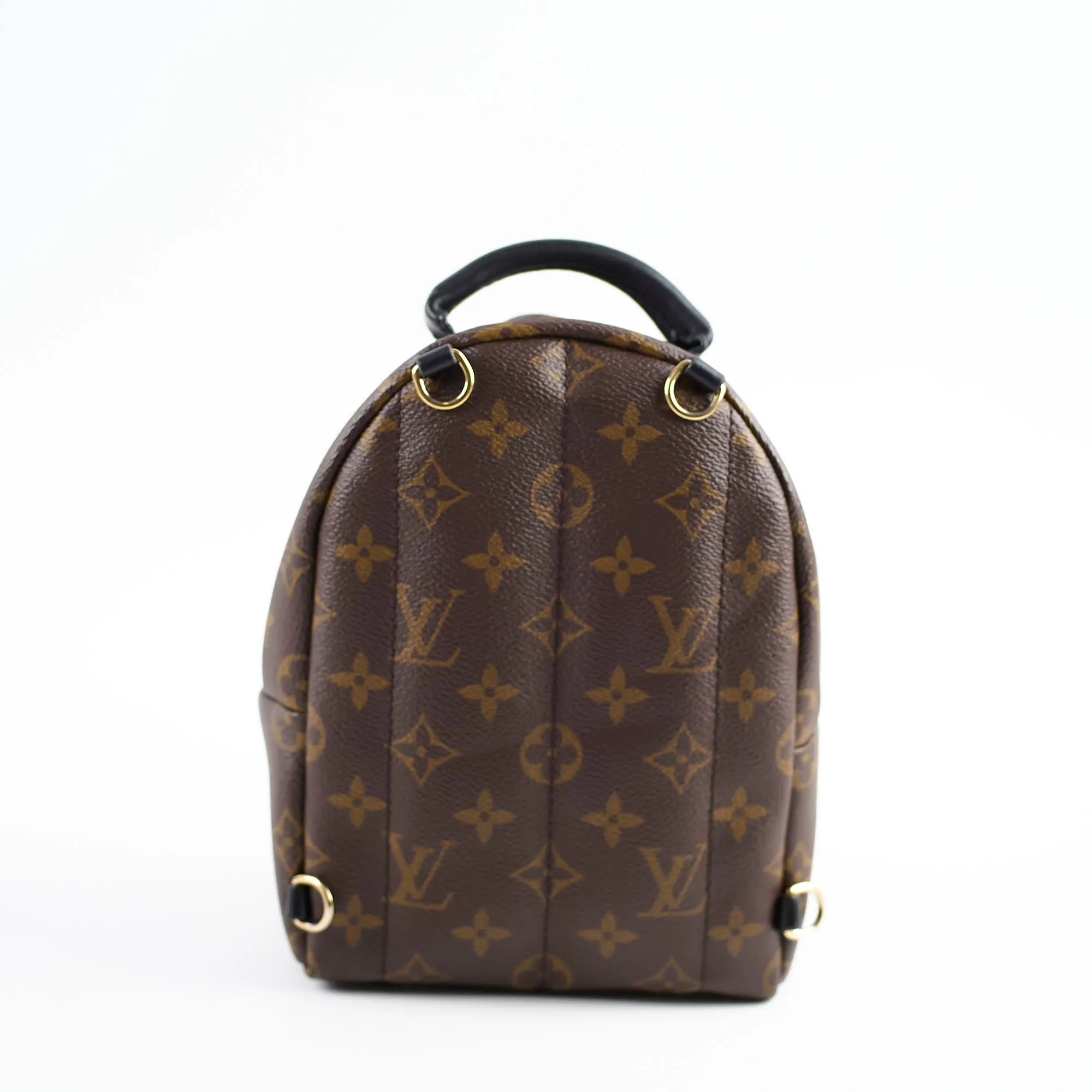 Louis Vuitton Mini Palm Spring Bag Monogram